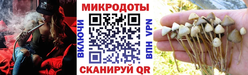 hydra онион  Ершов  Псилоцибиновые грибы GOLDEN TEACHER 