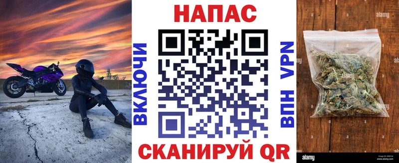 продажа наркотиков  Ершов  МАРИХУАНА ГИДРОПОН 